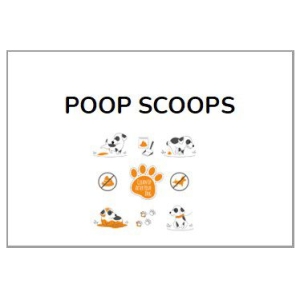 Poop Scoop