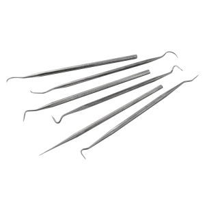 Picks & Carvers Set 6 Piece Stainless Steel
