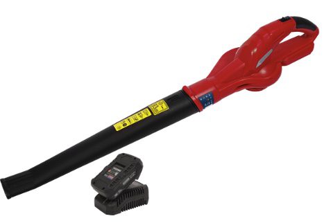 SV20 Series Cordless Leaf Blower with 20V 2Ah Battery & Charger